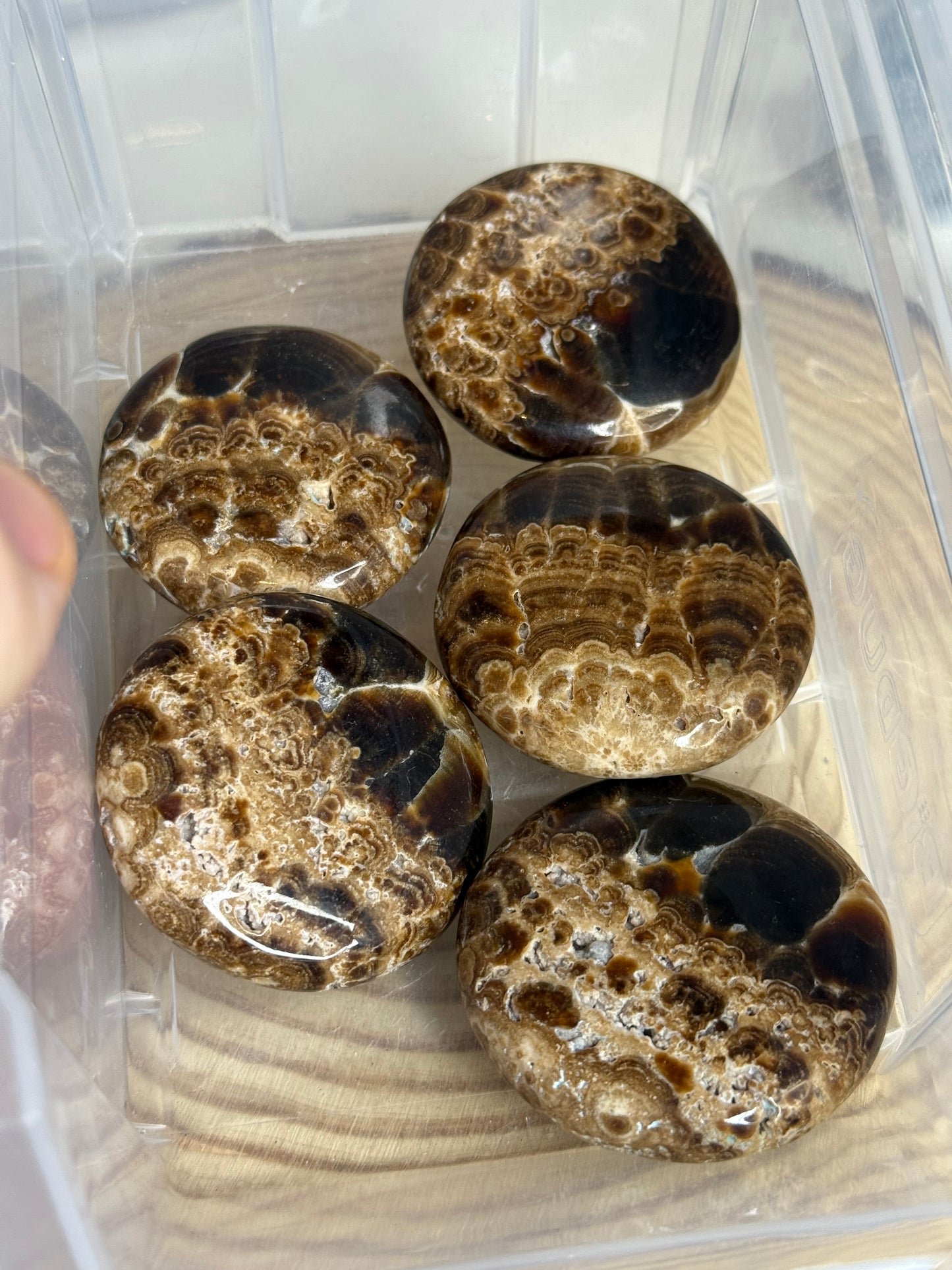 Chocolate calcite