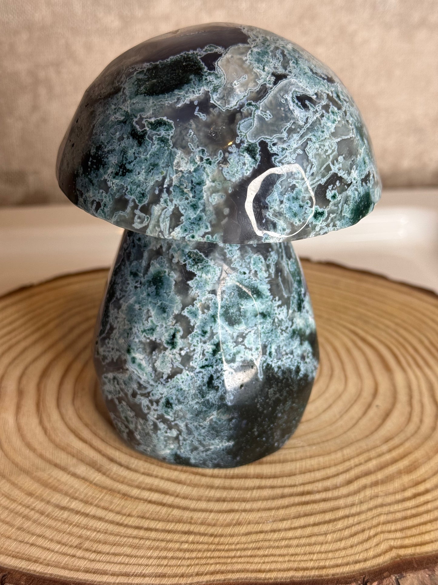 Moss agate mushroom