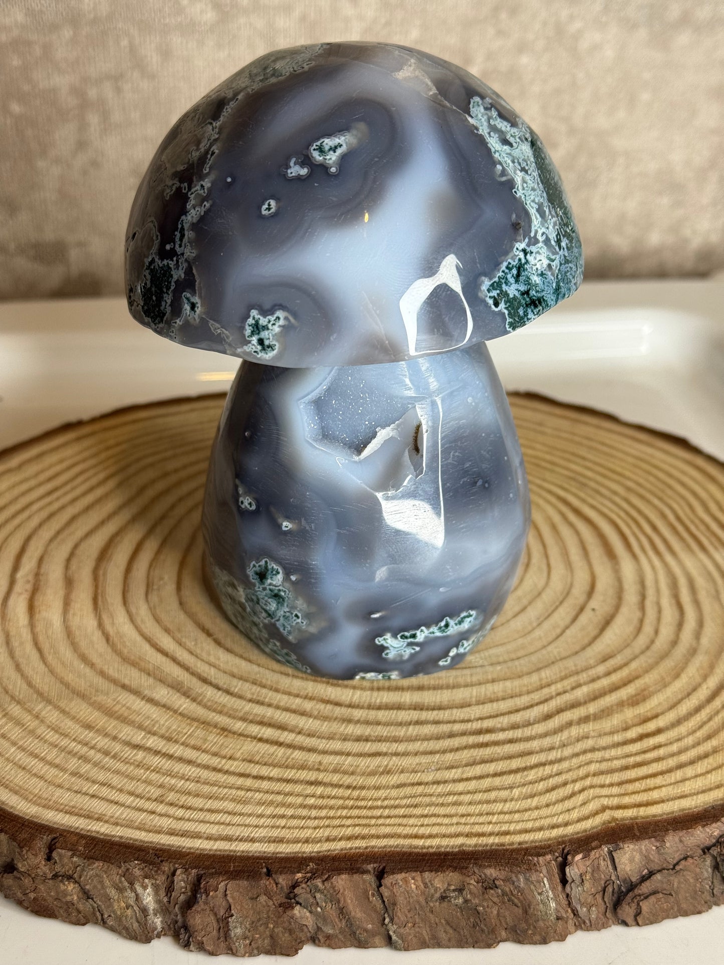 Moss agate mushroom