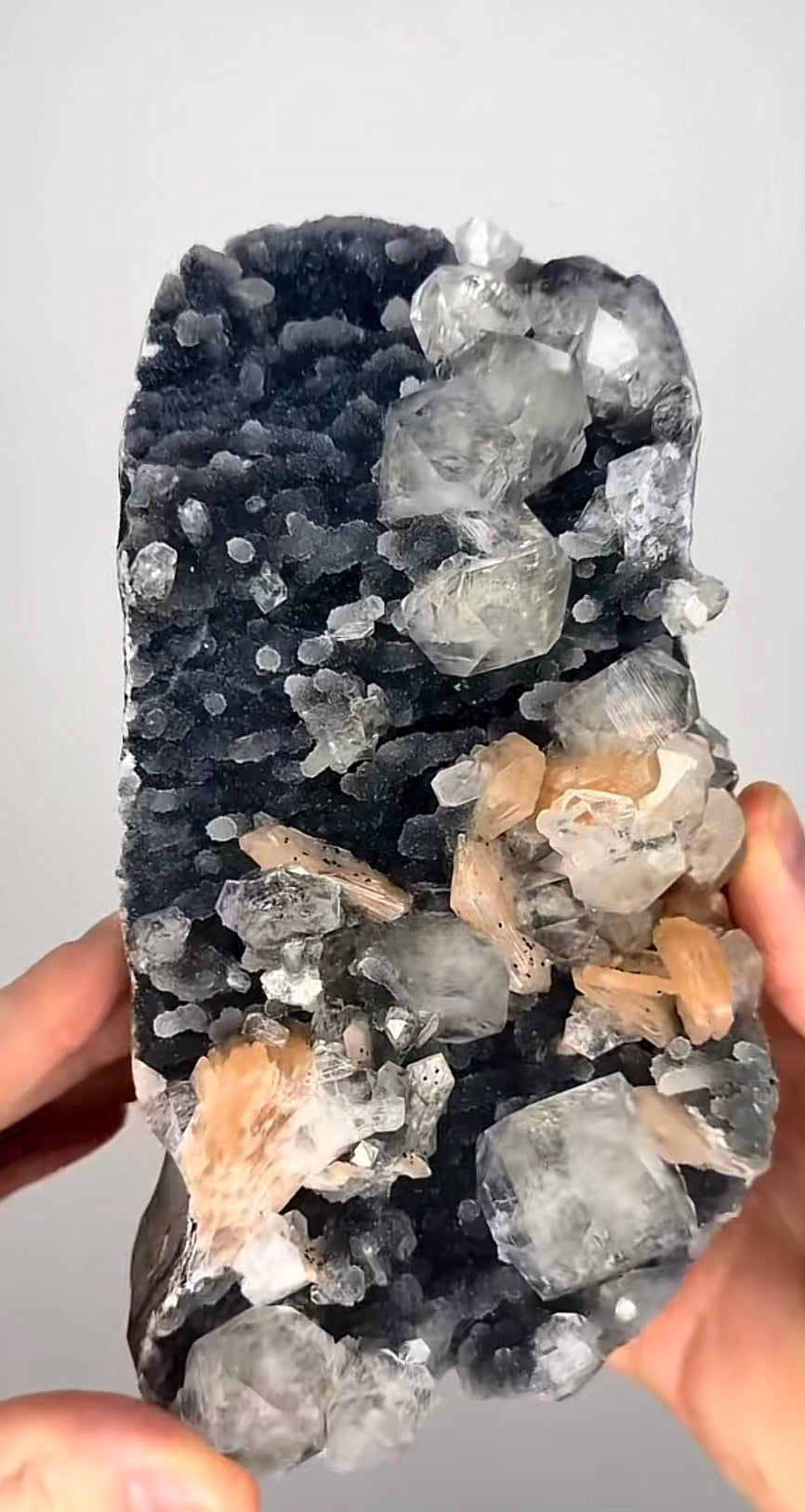 Glassy Diamond Green& Clear Apophyllite cubes with juicy peach stilbite On Black Chalcedony